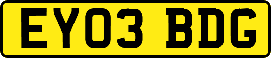 EY03BDG