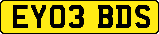 EY03BDS