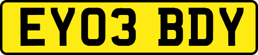 EY03BDY