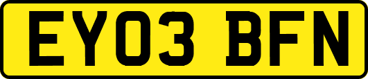 EY03BFN