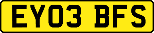 EY03BFS