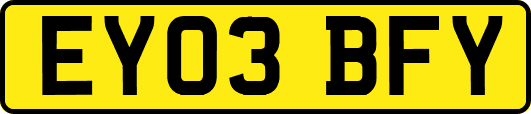 EY03BFY