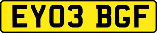 EY03BGF