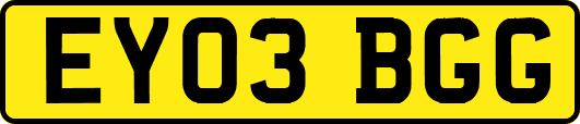 EY03BGG