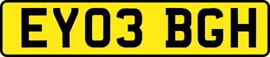 EY03BGH