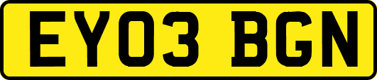 EY03BGN