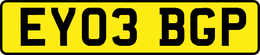 EY03BGP