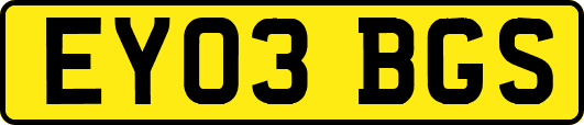 EY03BGS