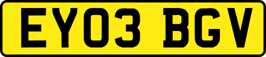 EY03BGV