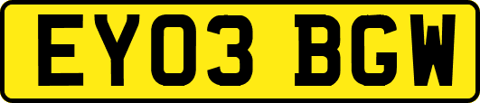 EY03BGW