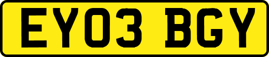 EY03BGY
