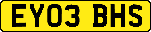 EY03BHS