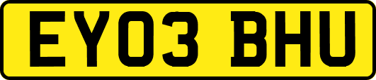 EY03BHU