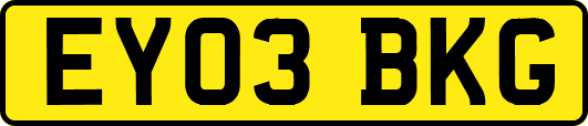 EY03BKG