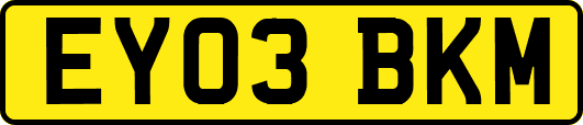 EY03BKM
