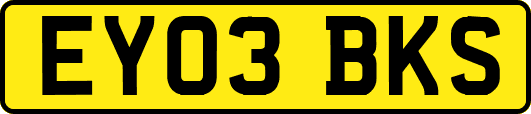 EY03BKS