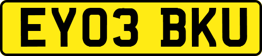 EY03BKU