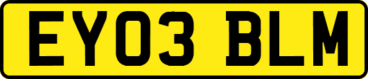 EY03BLM