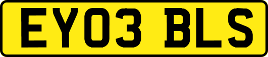 EY03BLS