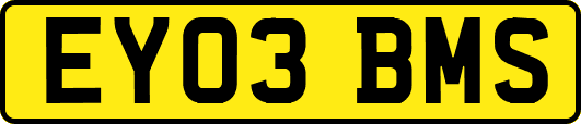EY03BMS