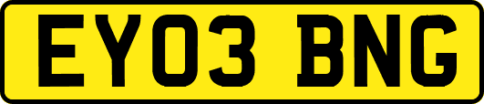EY03BNG