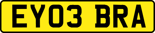 EY03BRA