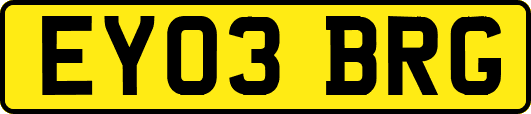 EY03BRG