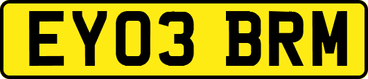 EY03BRM