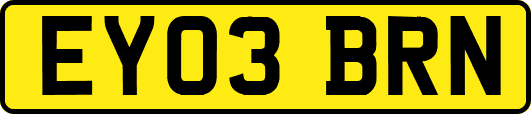 EY03BRN