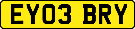 EY03BRY