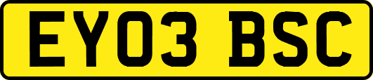 EY03BSC