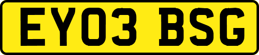 EY03BSG