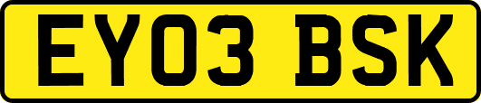 EY03BSK