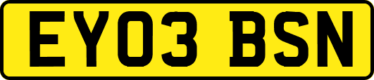 EY03BSN
