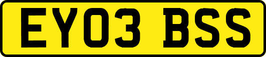 EY03BSS