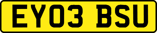 EY03BSU