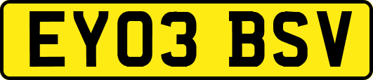 EY03BSV