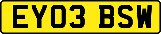 EY03BSW