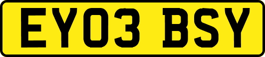 EY03BSY