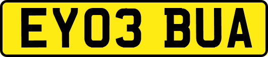 EY03BUA