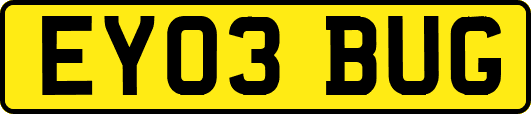EY03BUG