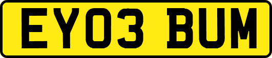 EY03BUM