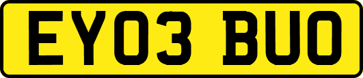 EY03BUO