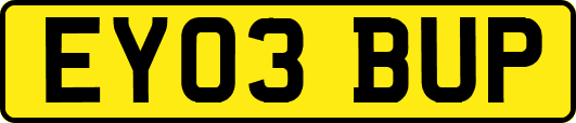 EY03BUP