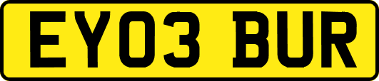 EY03BUR