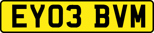 EY03BVM