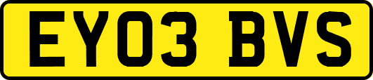 EY03BVS