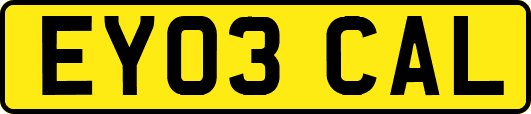 EY03CAL