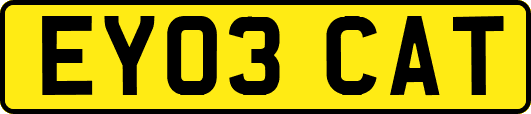 EY03CAT