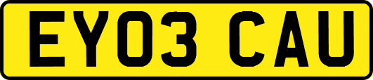 EY03CAU